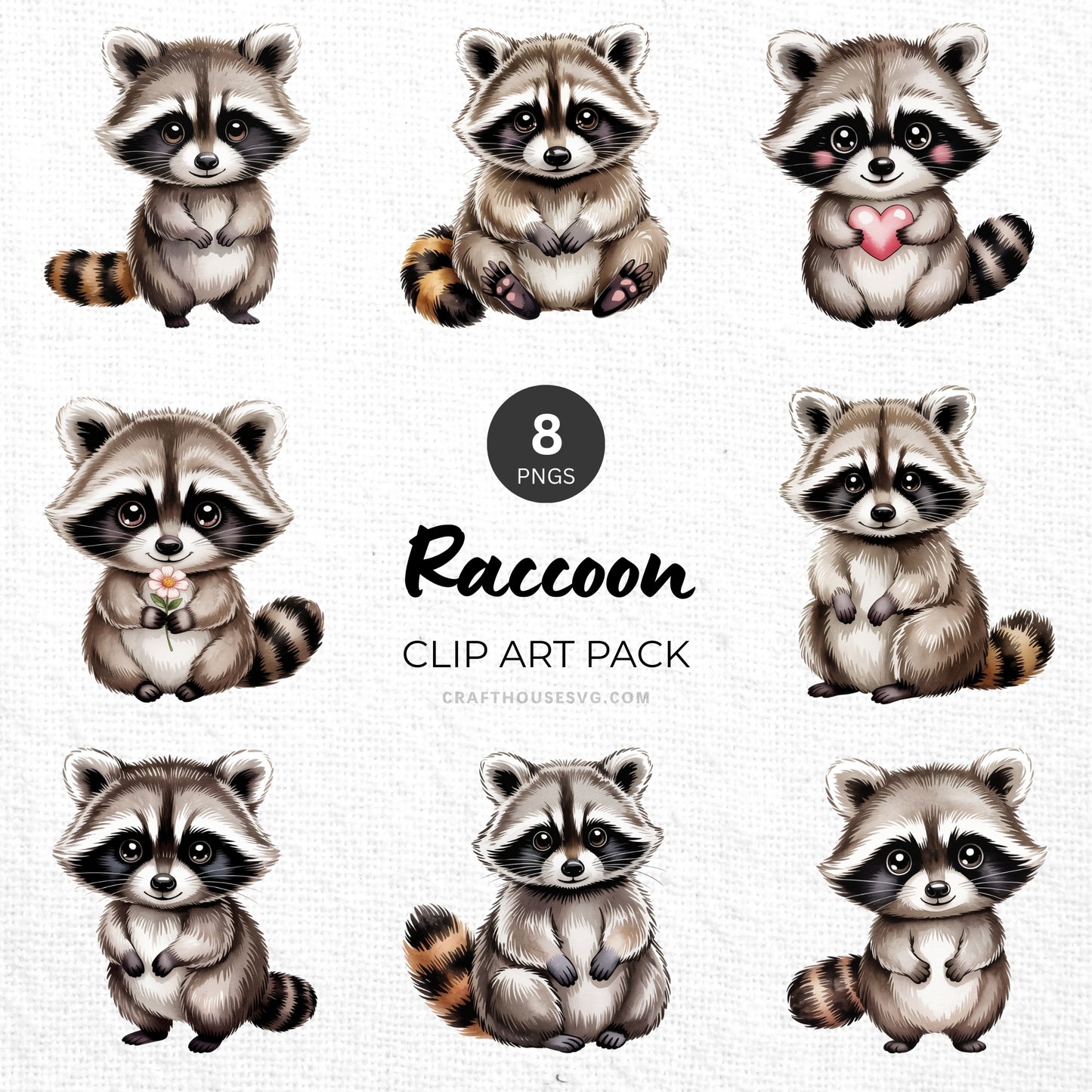 Raccoon Clipart Pack Sublimation Bundle PNG