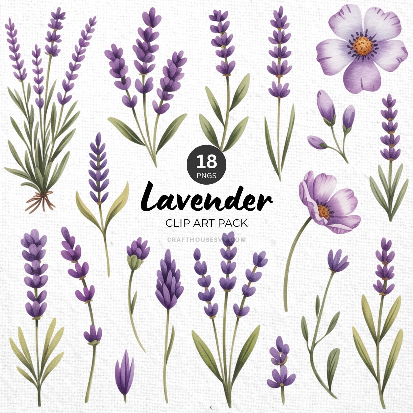 Lavender Clipart Pack Sublimation Bundle PNG