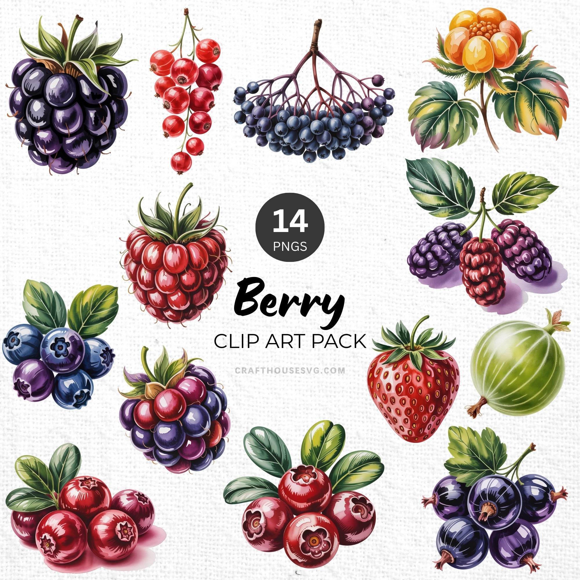 Berry Clipart Pack Sublimation Bundle PNG