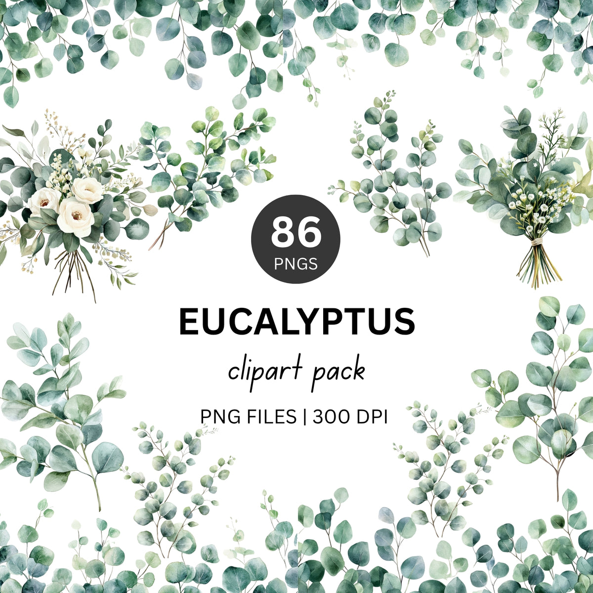 Eucalyptus Clipart Pack