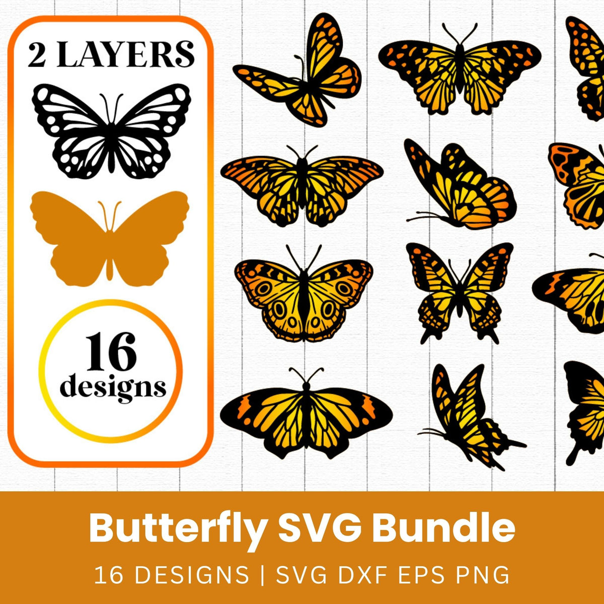 Butterfly SVG Bundle