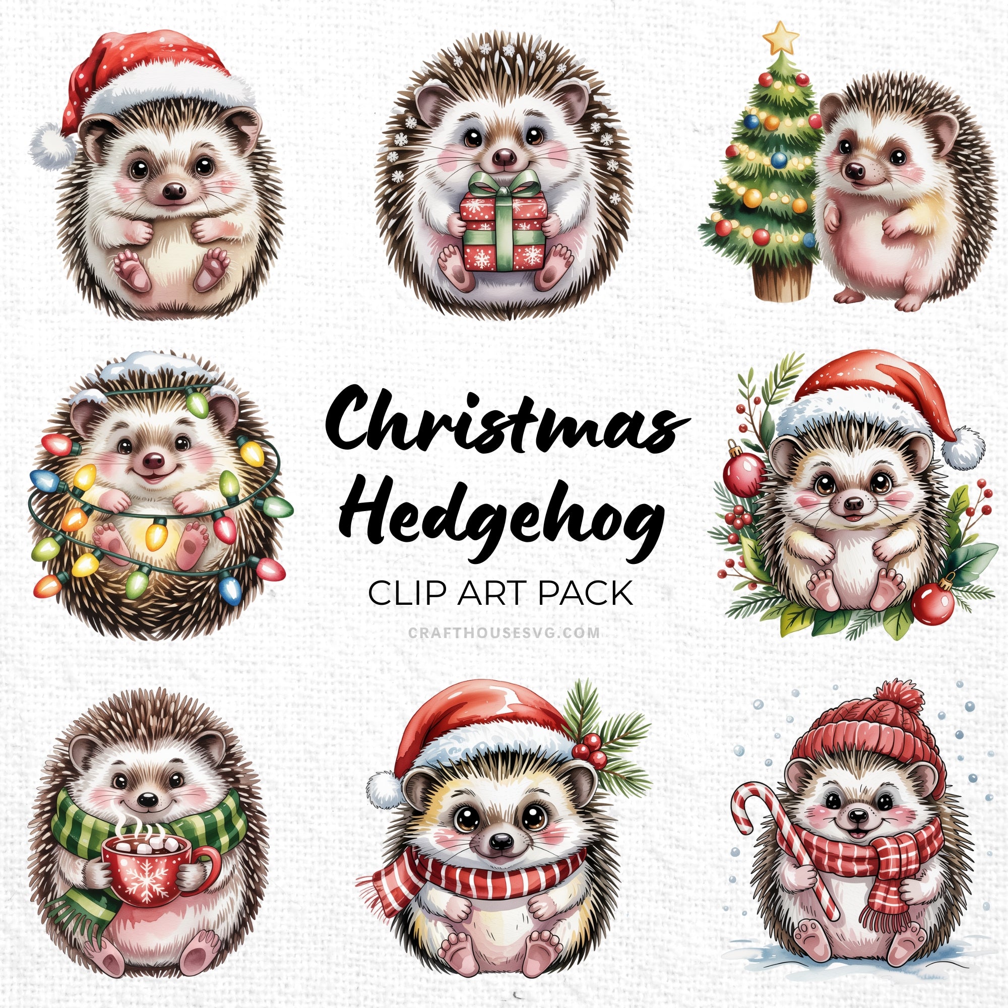 Christmas Hedgehog Clipart Pack Sublimation Bundle PNG
