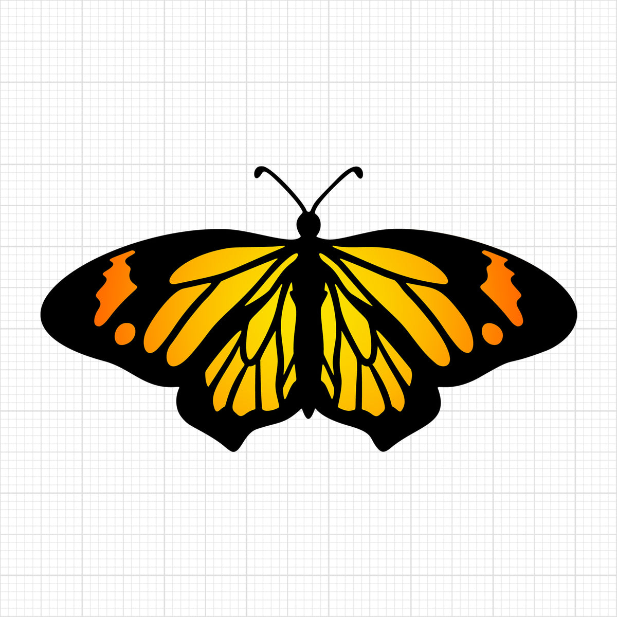 Butterfly 13