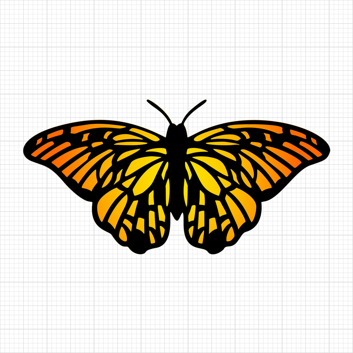 Butterfly 5