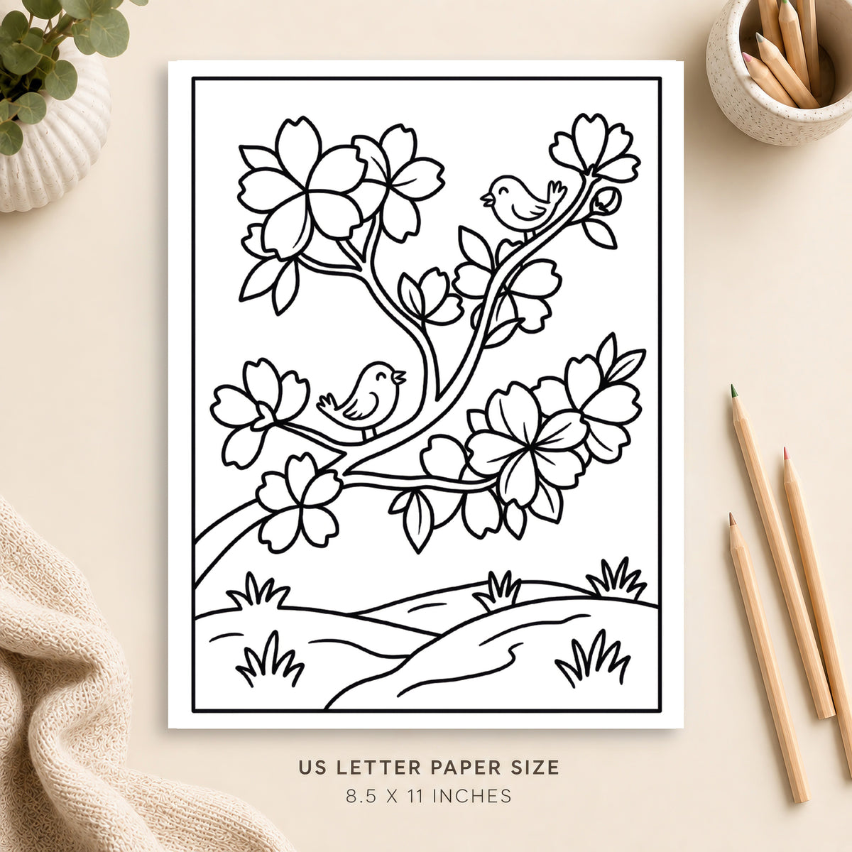 Cherry Blossoms Coloring Page 2