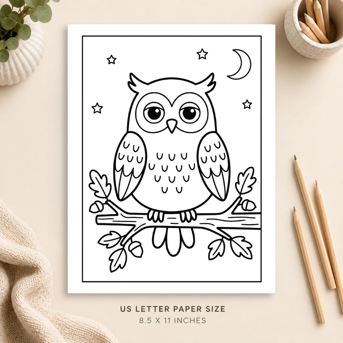 Cute Owl Coloring Page 1