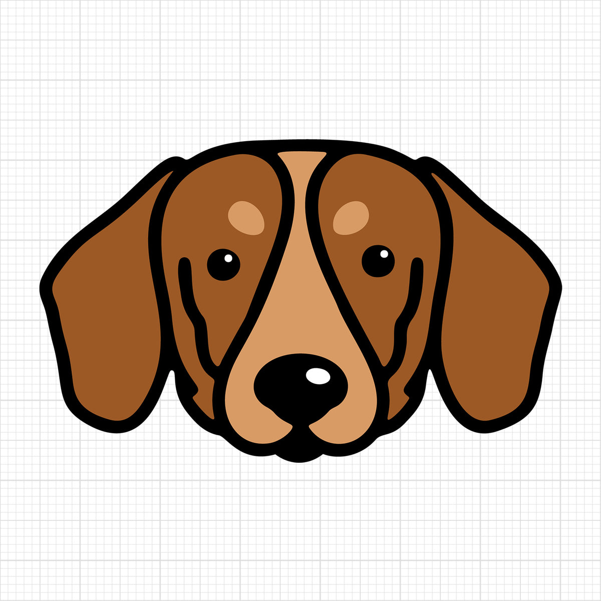 Dachshund