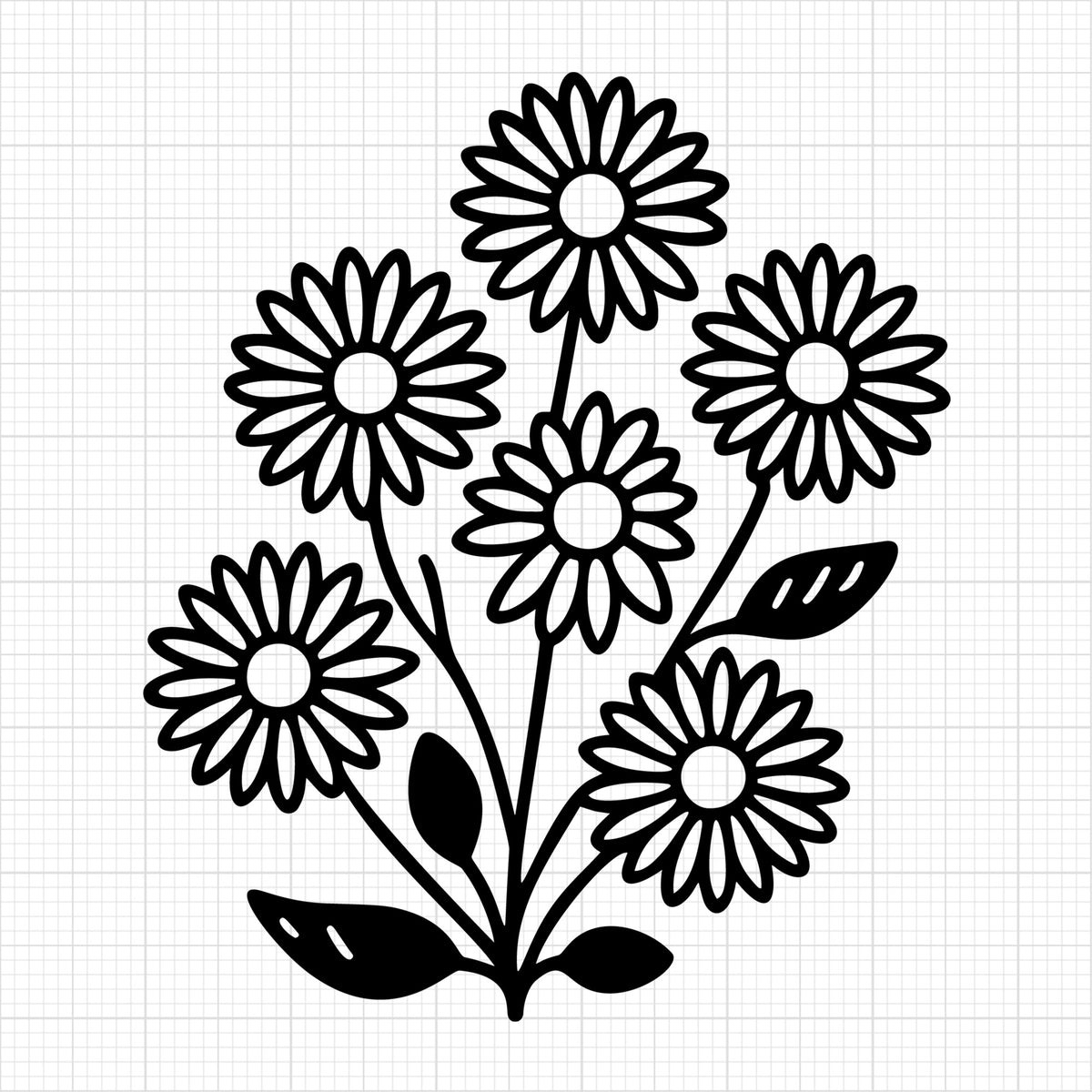 Daisy 17