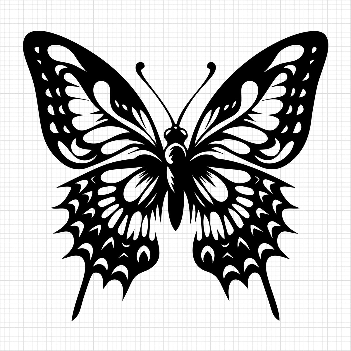 Detailed Butterfly