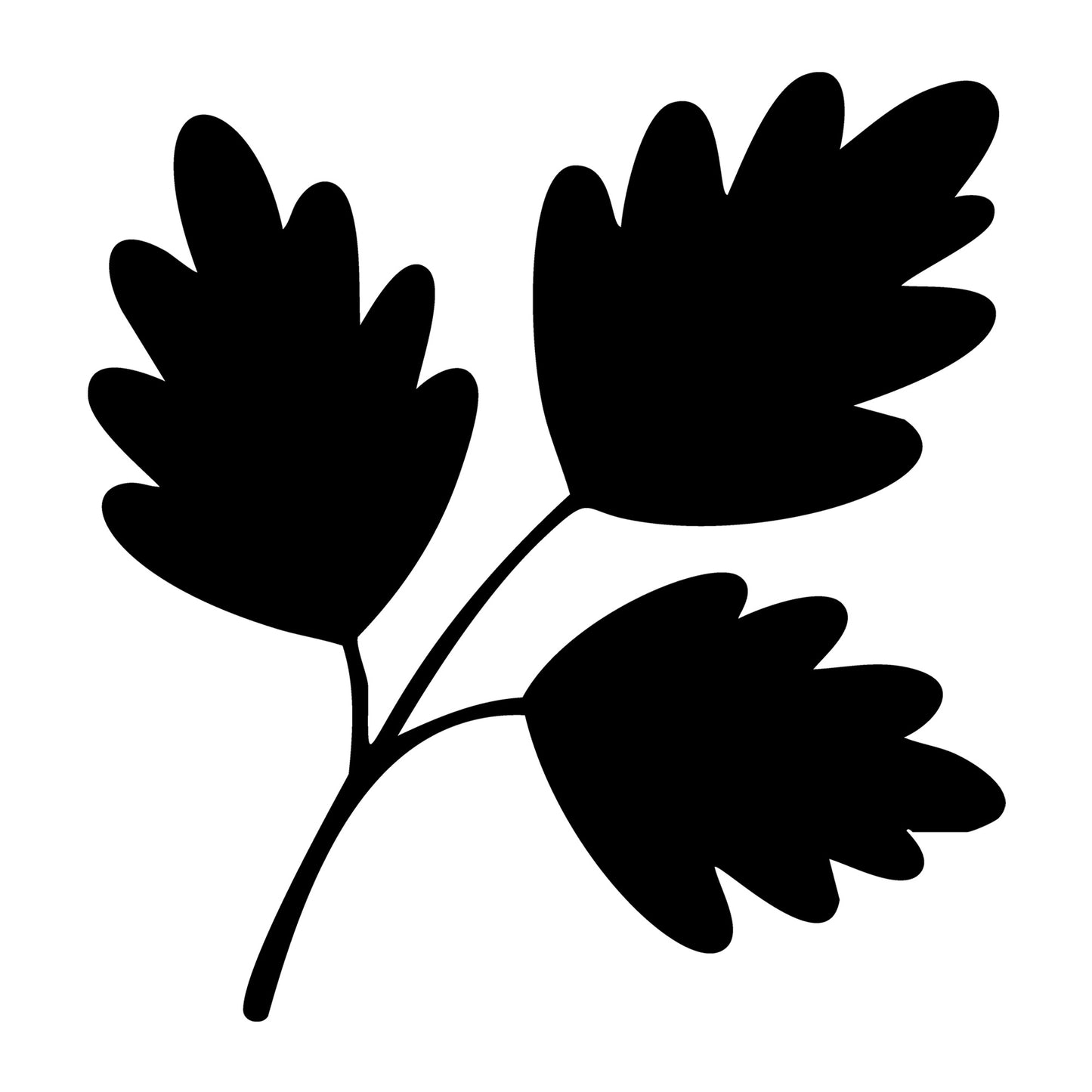 Fall Leaf SVG