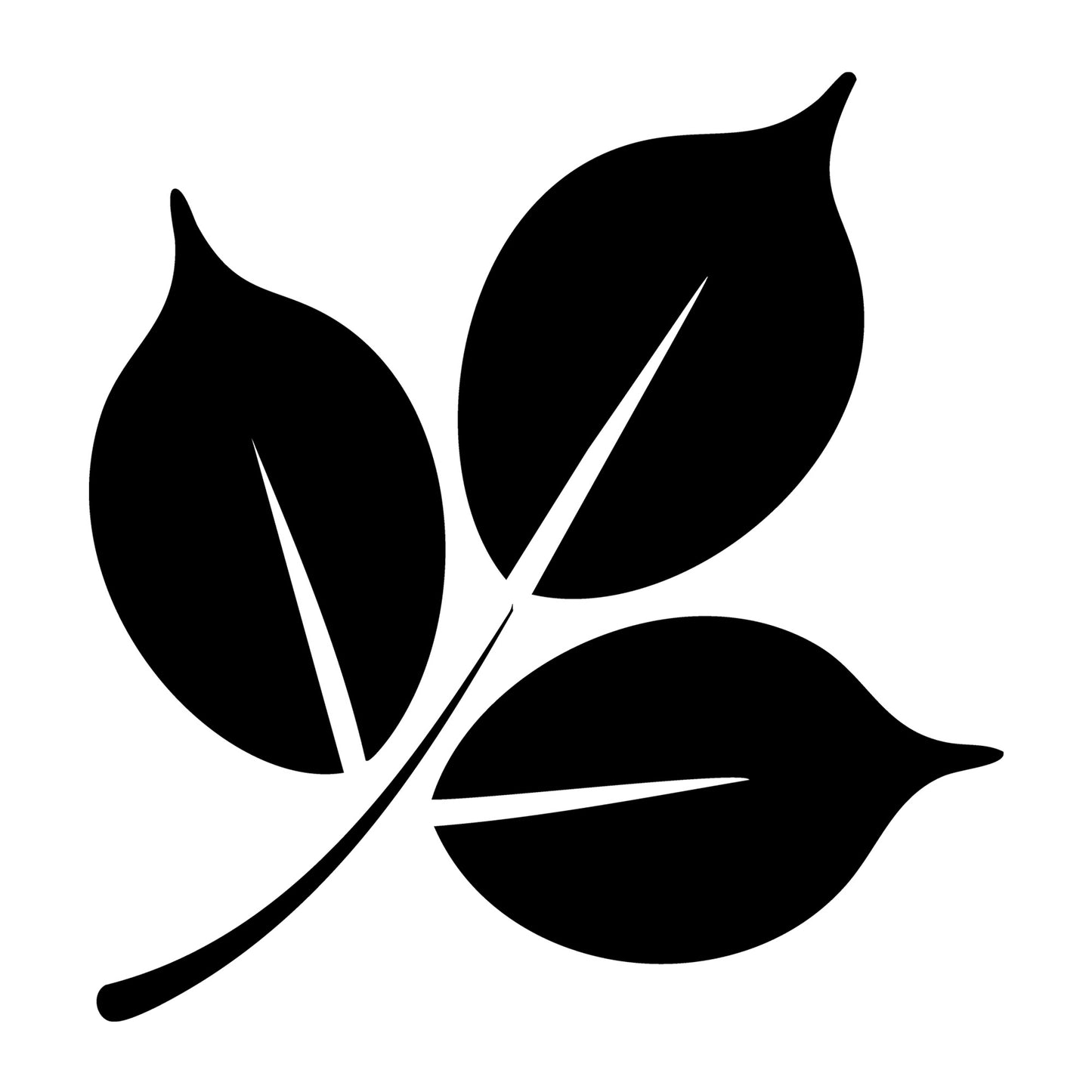 Fall Leaf SVG