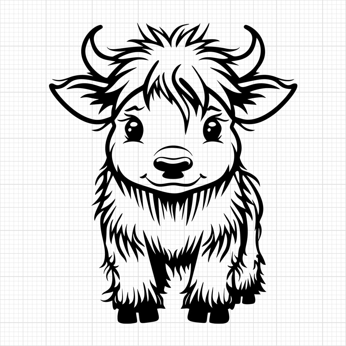 Highland Cow 3