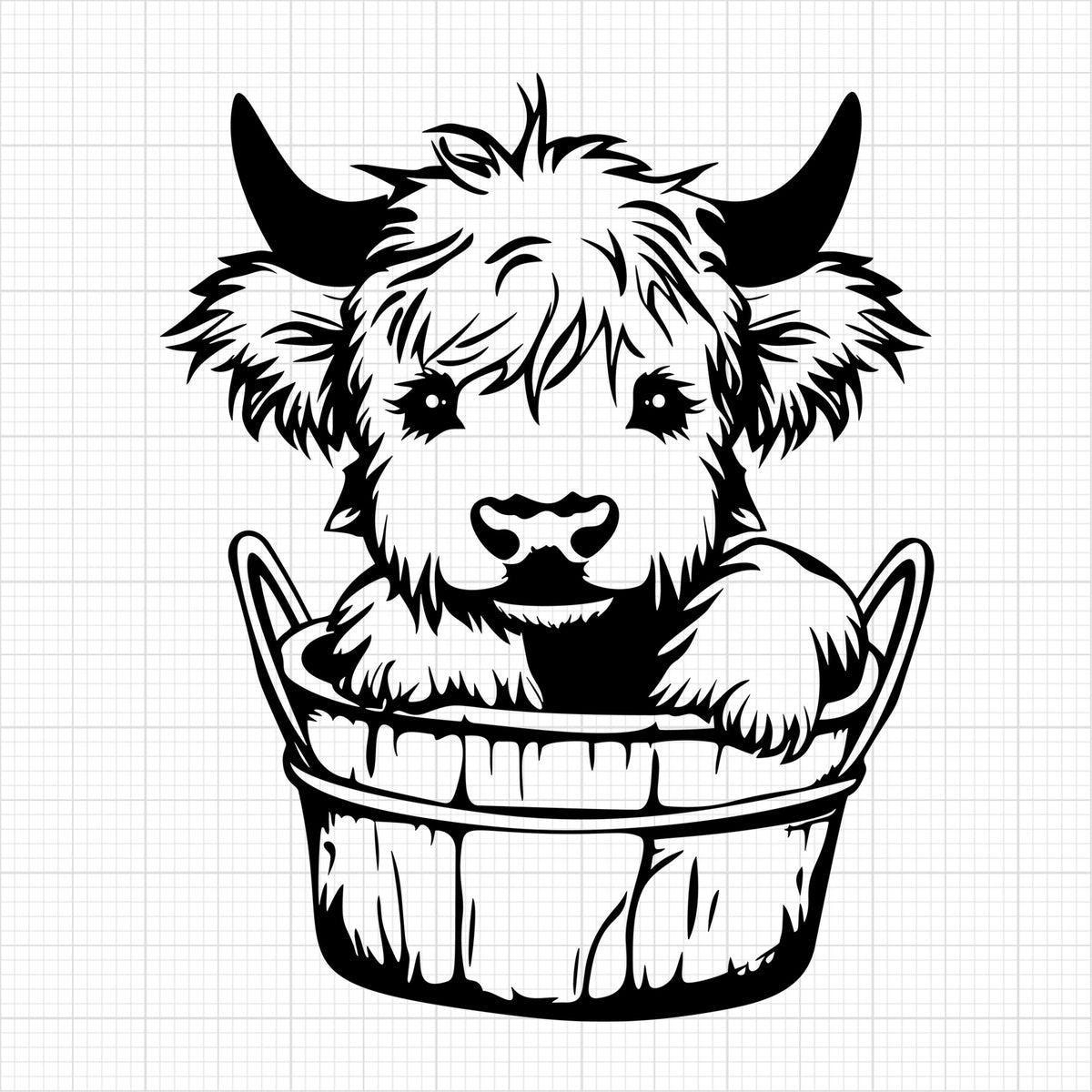 Highland Cow 7
