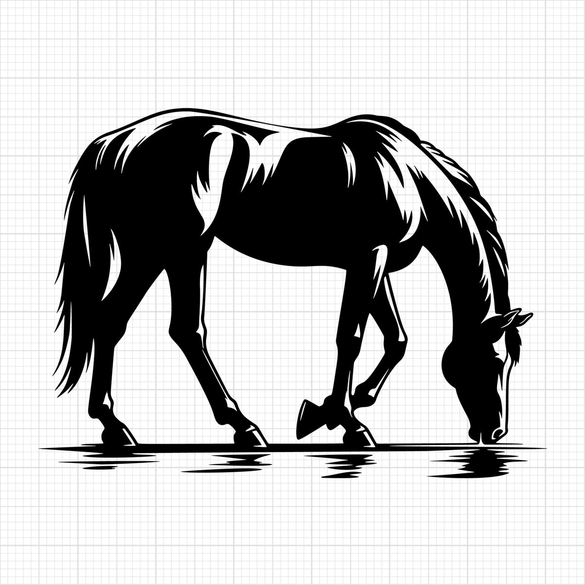 Horse drinking water silhouette