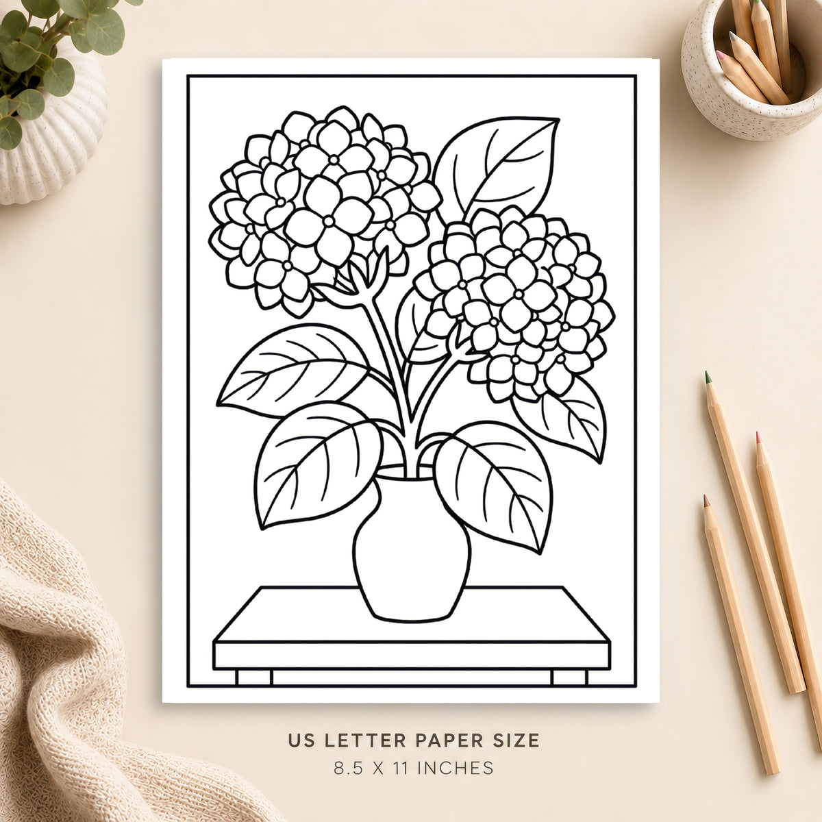 Hydrangeas Coloring Page 3