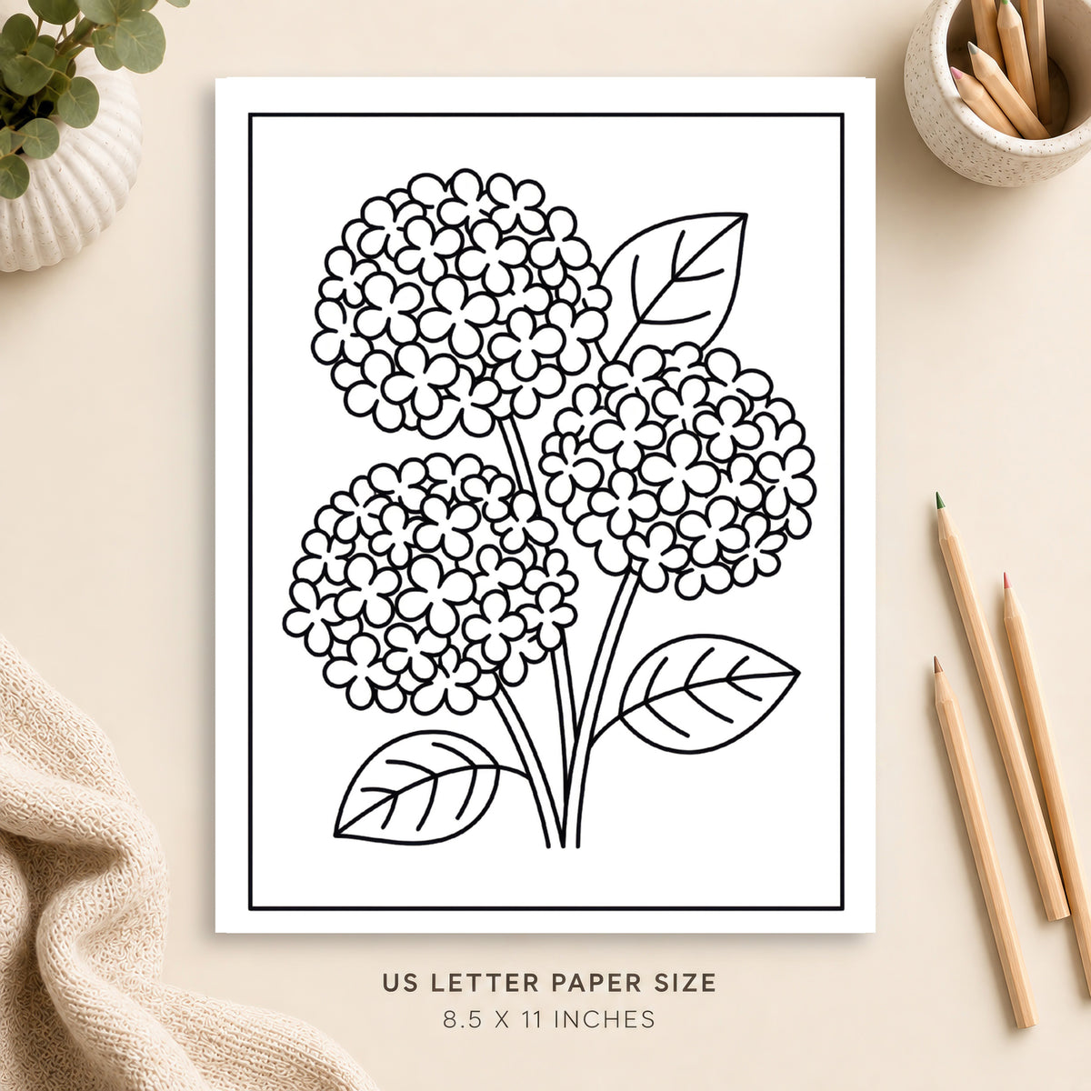 Hydrangeas Coloring Page 4