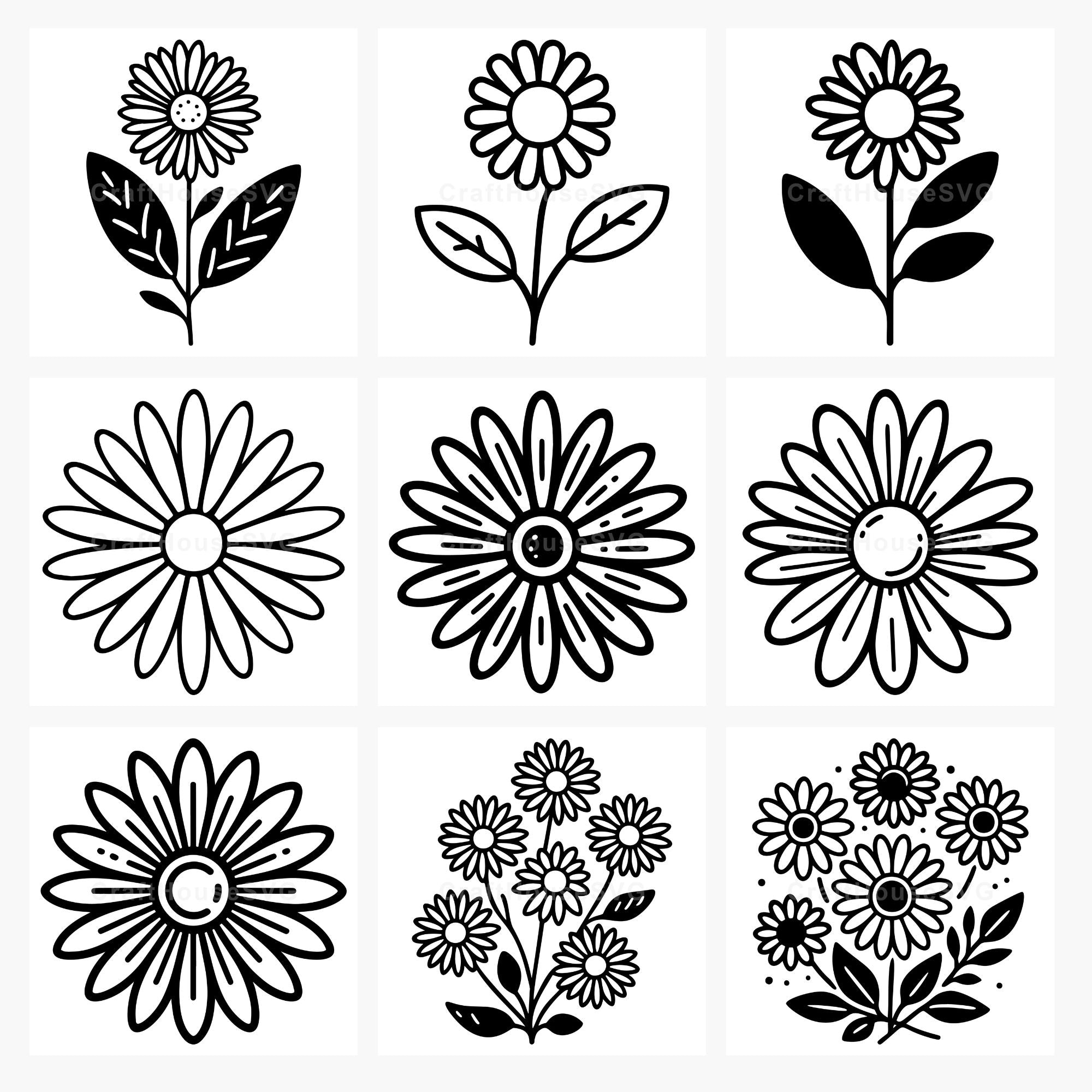 Daisy SVG Bundle
