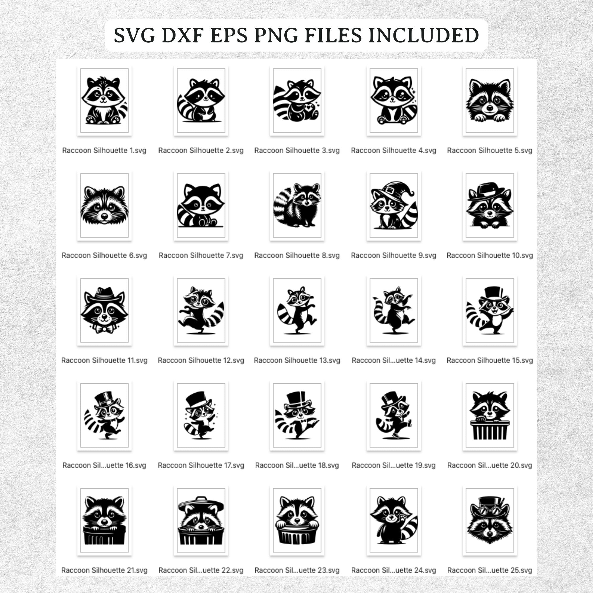 Raccoon SVG Bundle