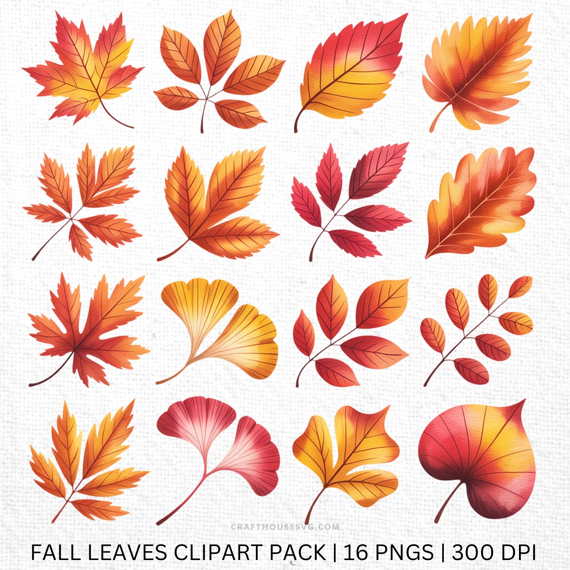 Fall Leaves Clipart Sublimation Bundle PNG