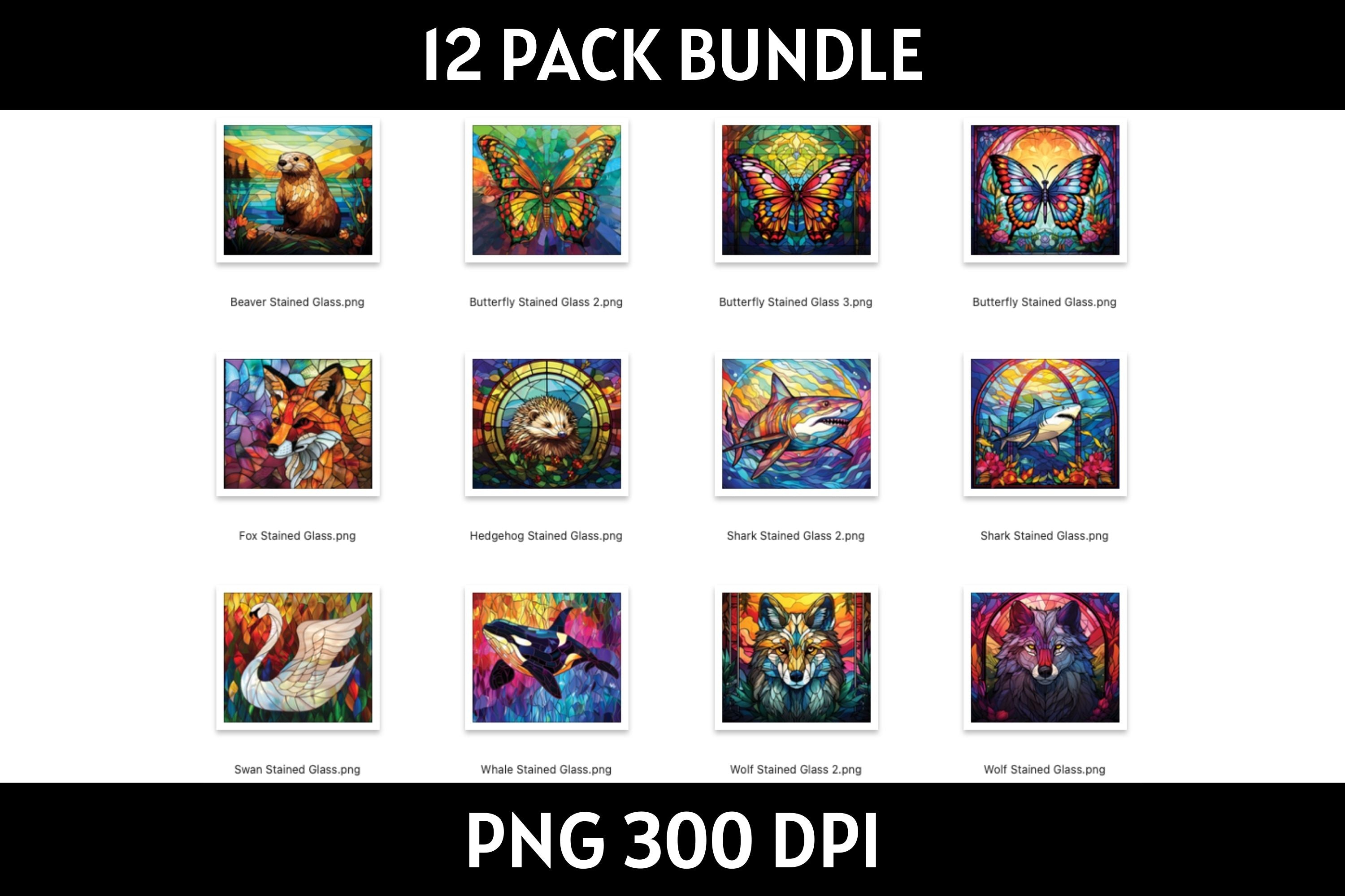 Stained Glass 20 oz Tumbler Sublimation Bundle PNG