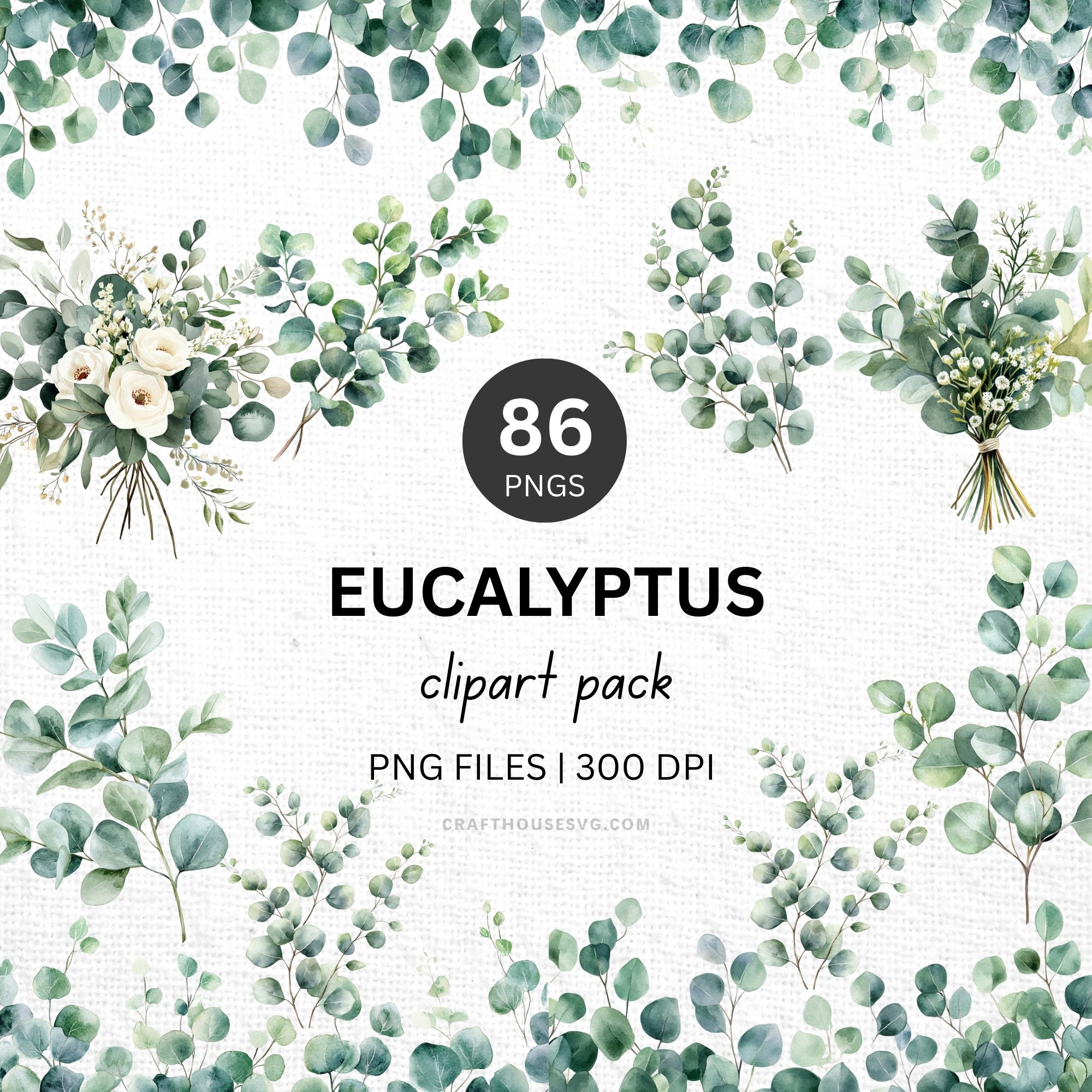 Eucalyptus Clipart Sublimation Bundle PNG