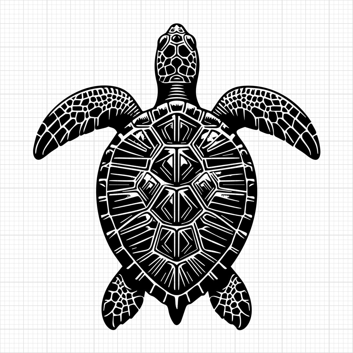 Sea Turtle 14