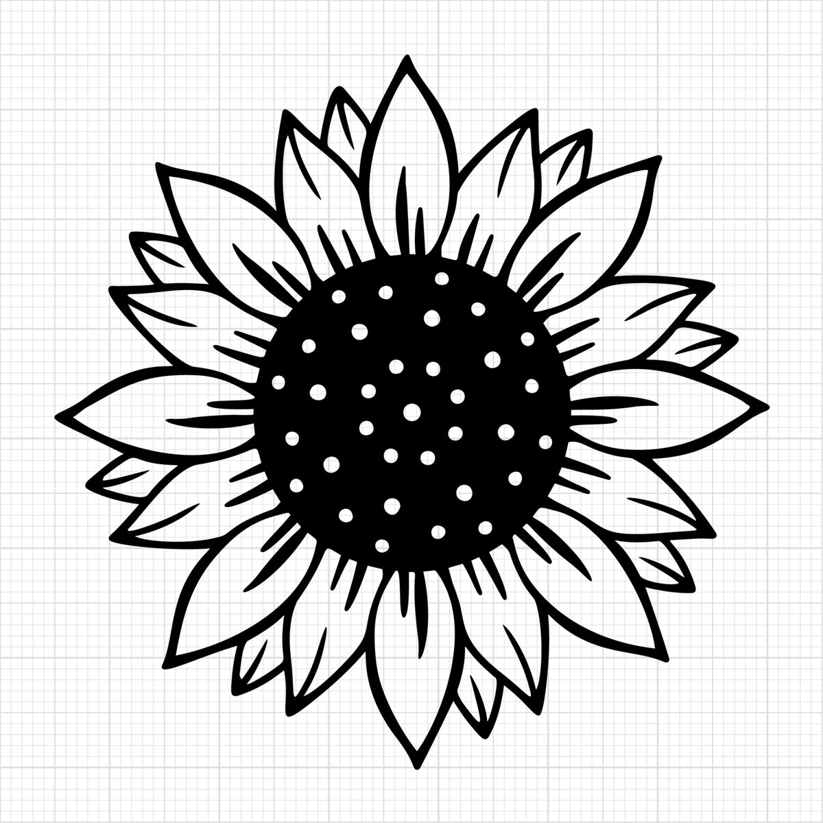 Sunflower 11