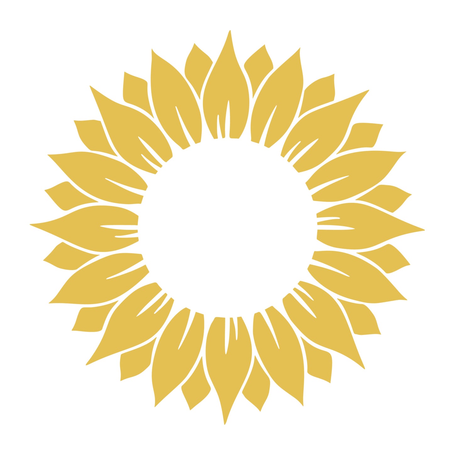 Sunflower SVG design for Cricut, Silhouette, laser cutting, vinyl, sublimation, floral crafts, and DIY projects.