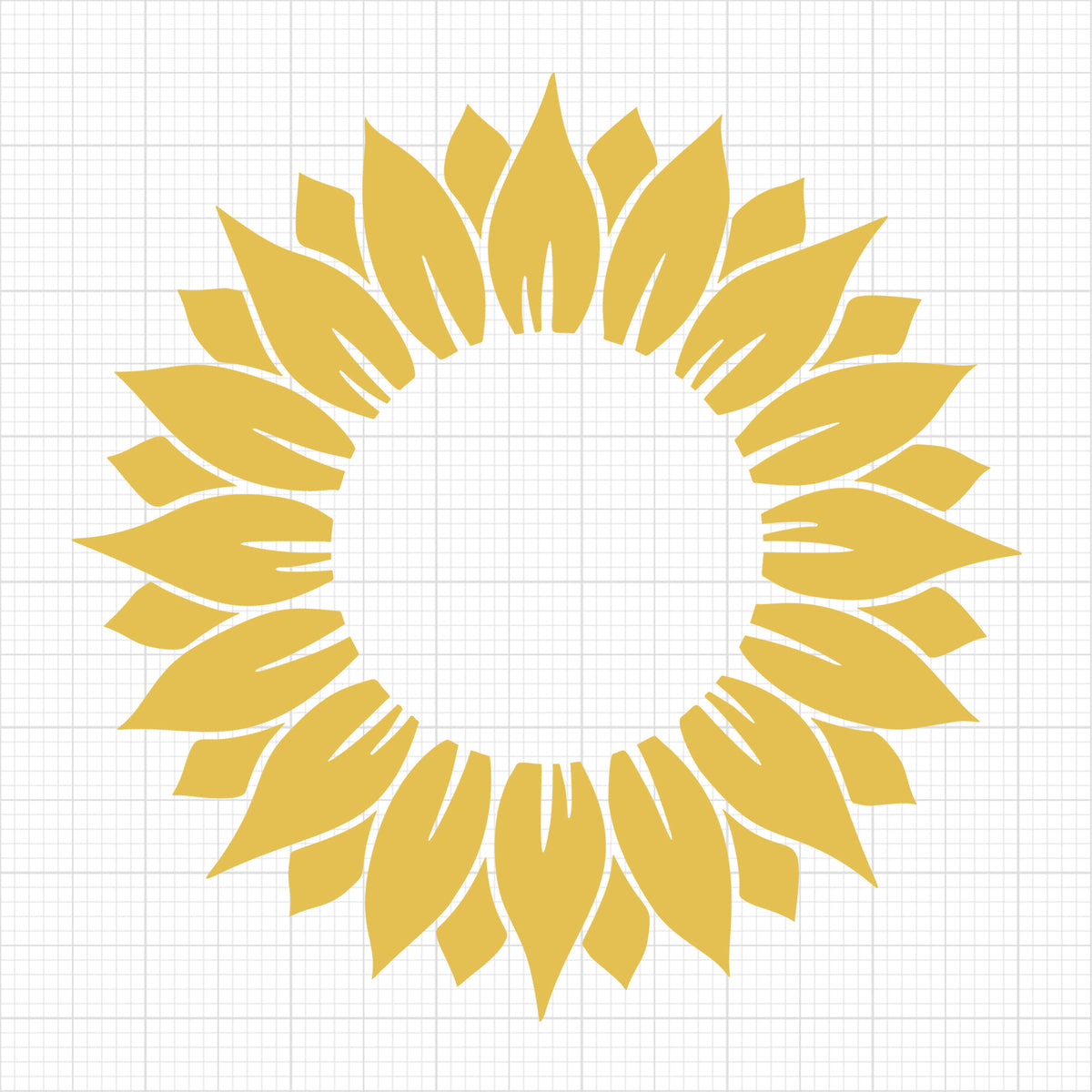 Sunflower 6
