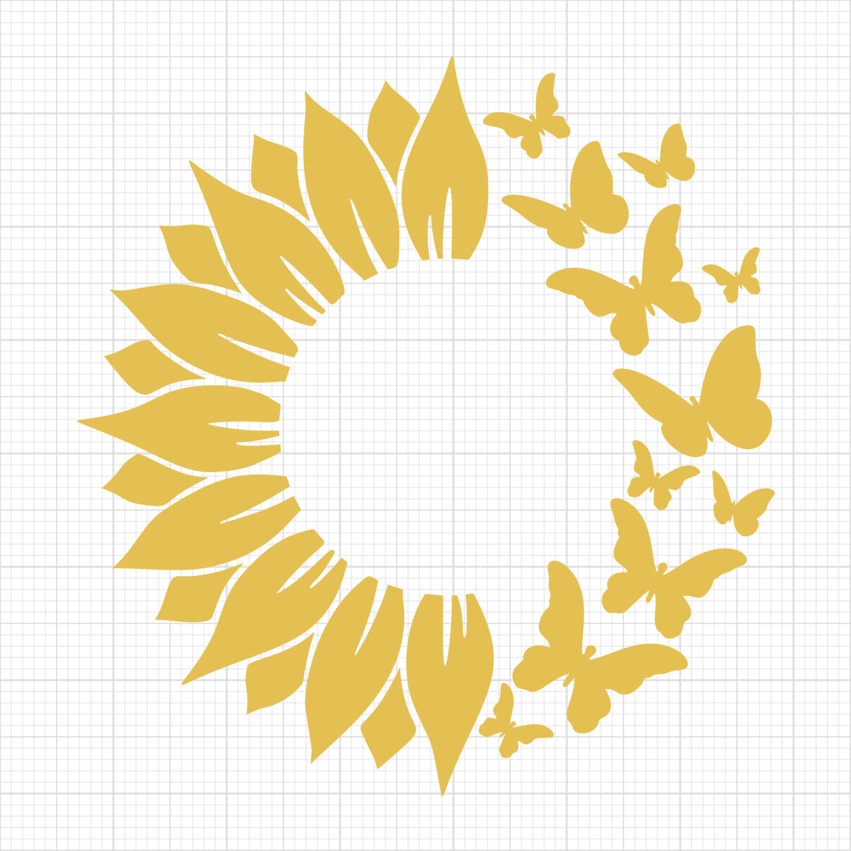 Sunflower 7