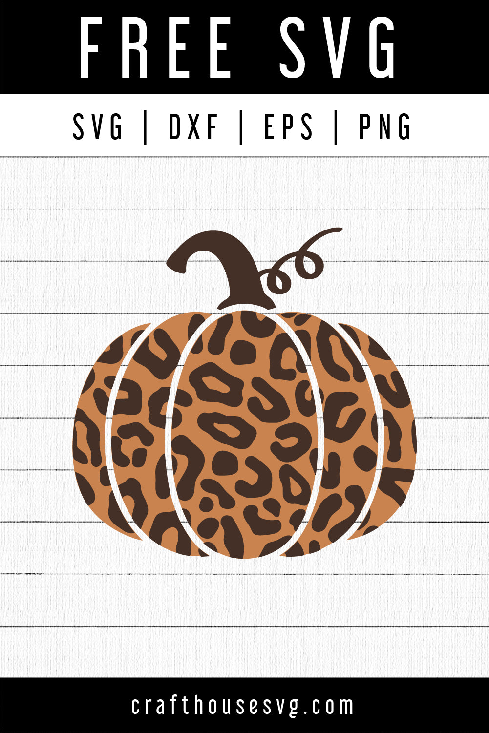 FREE Leopard print pumpkin SVG | FB148