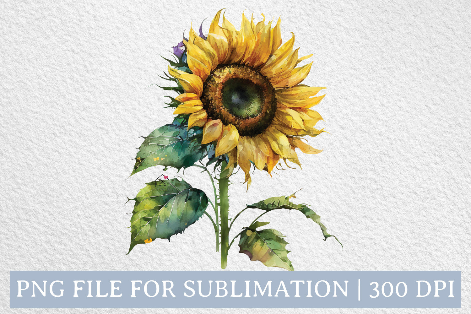 Sunflower Watercolor Summer Sublimation Design PNG