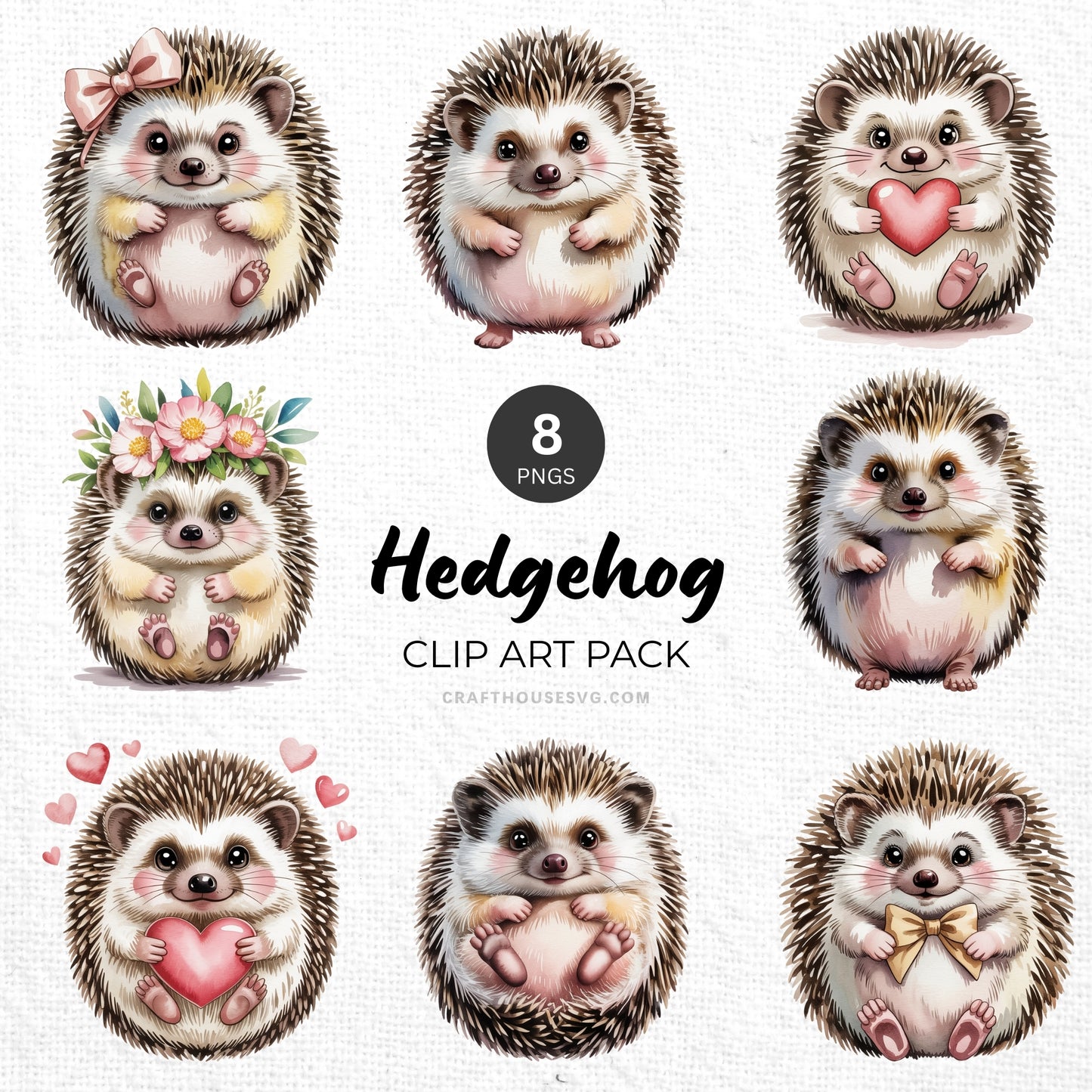 Hedgehog Clipart Pack Sublimation Bundle PNG