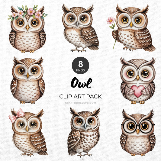 Owl Clipart Pack Sublimation Bundle PNG