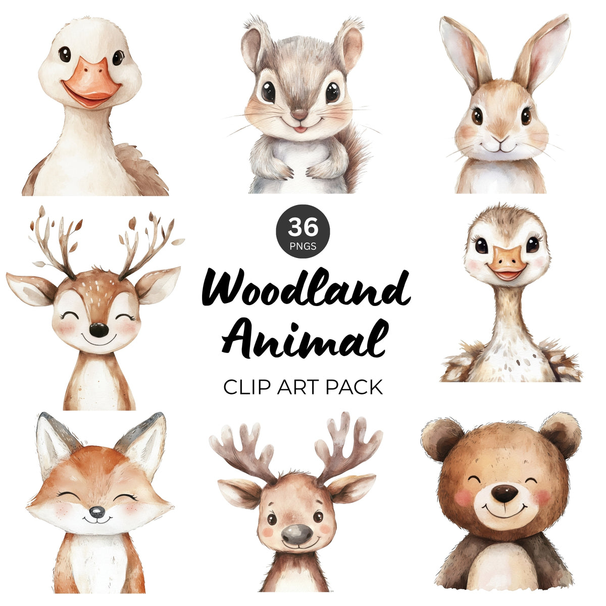 Woodland Animal Portrait Clipart Pack