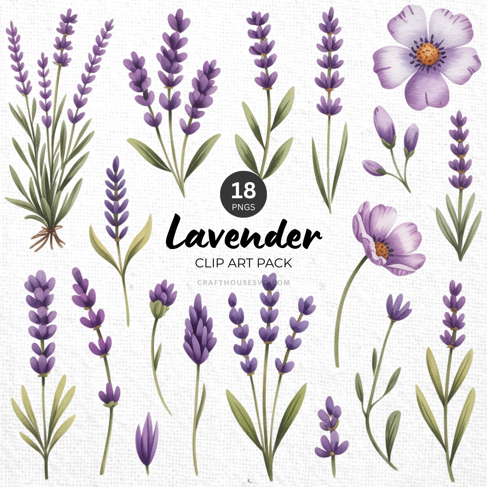 Lavender Clipart Pack Sublimation Bundle PNG - Craft House SVG