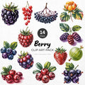 Berry Clipart Pack Sublimation Bundle PNG - Craft House SVG