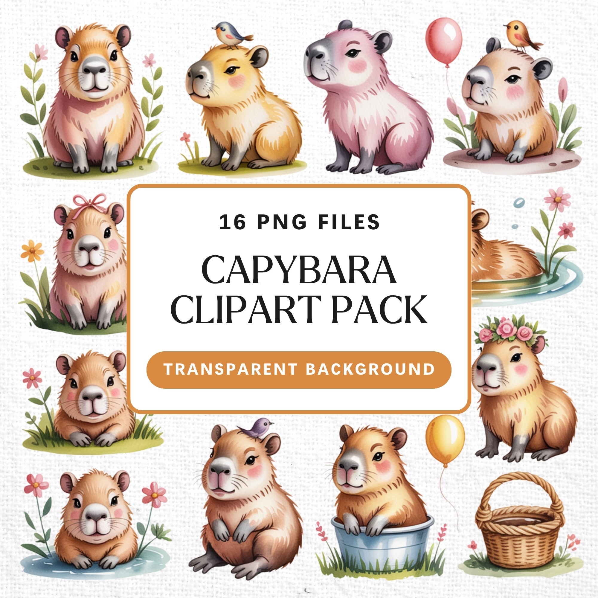Capybara Clipart Pack Sublimation Bundle PNG