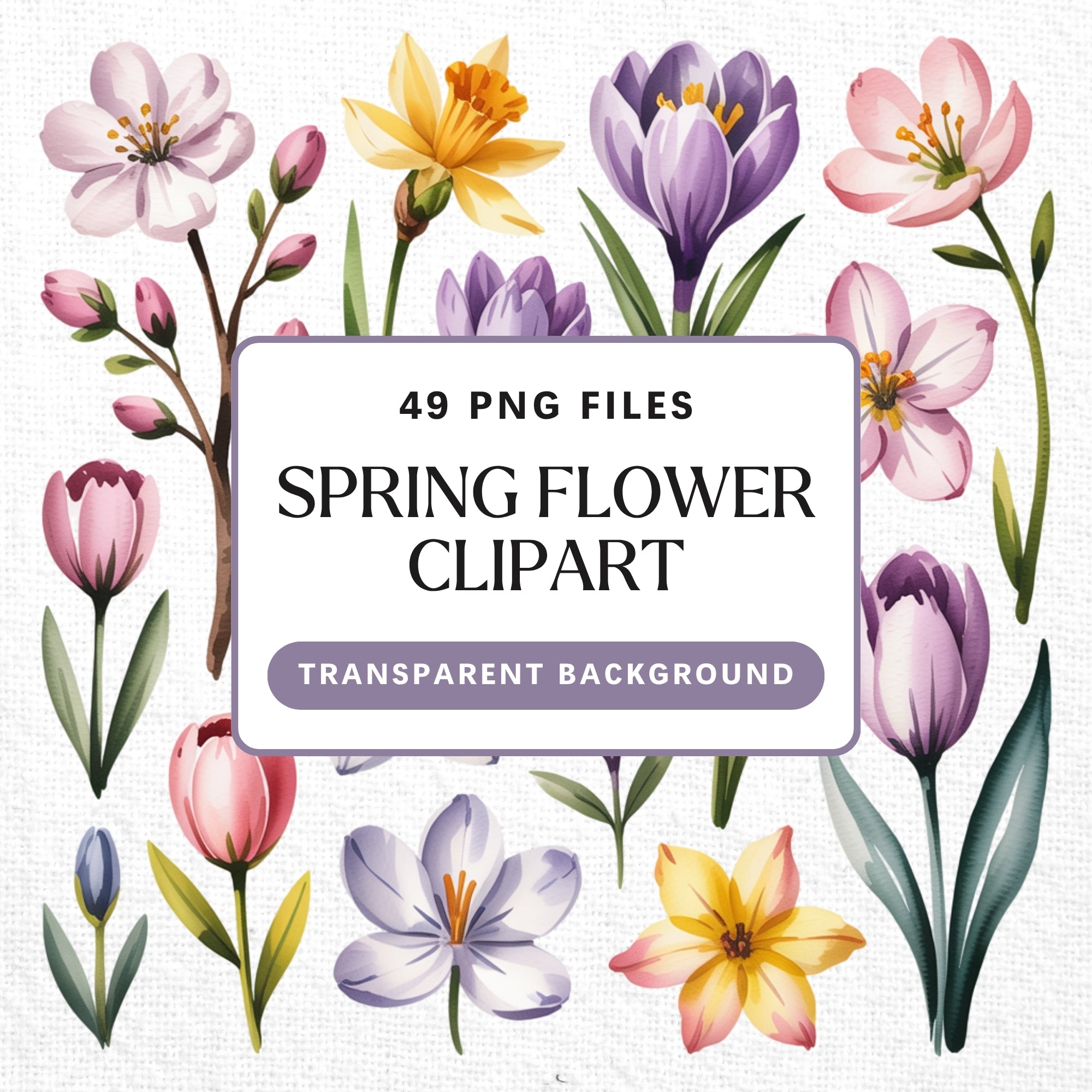 Spring Flower Clipart Pack PNG