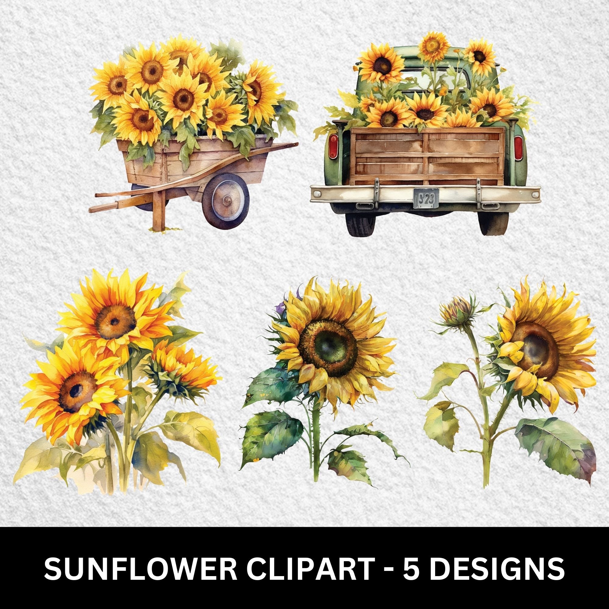 Sunflower Clipart PNG Bundle 5 Designs