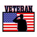 3D Veteran American Flag SVG design for Cricut, Silhouette, laser cutting, vinyl, sublimation, patriotic crafts, and 4th of July projects.