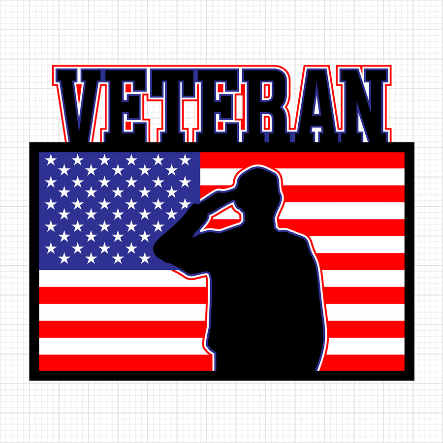3D Veteran American Flag