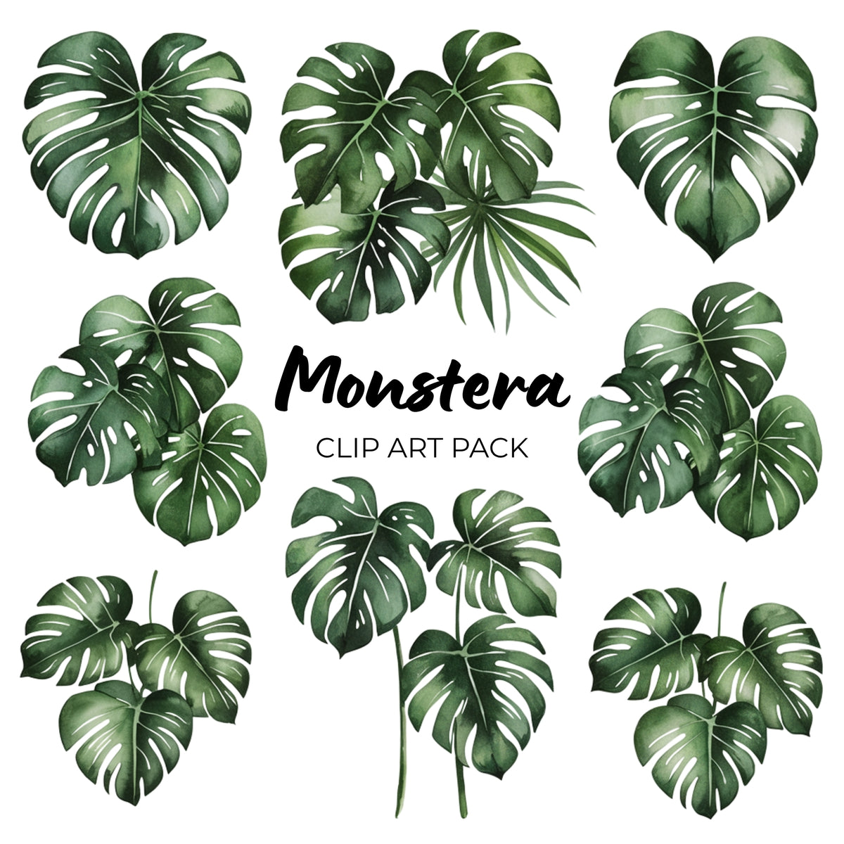 Monstera Clipart Pack