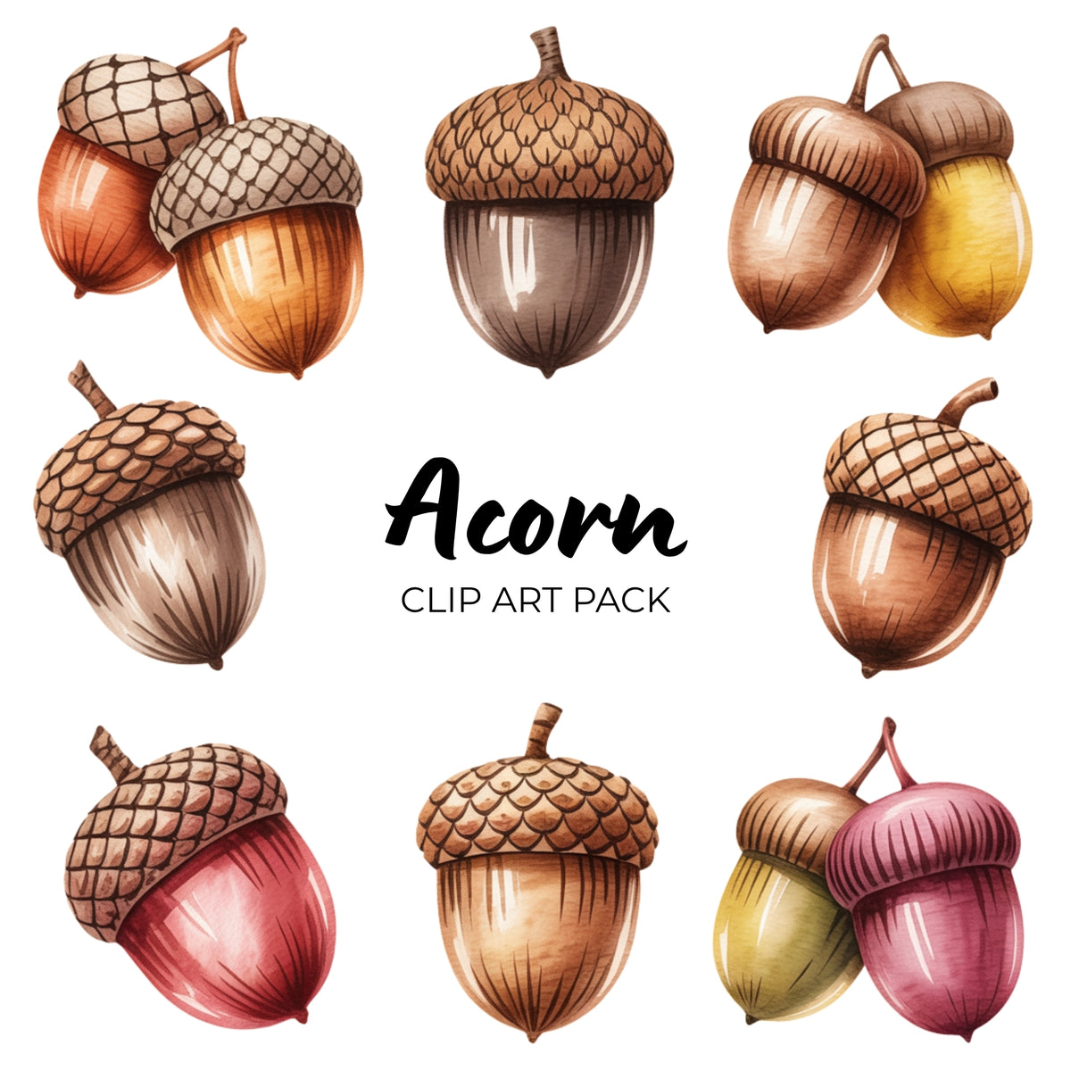 Acorn Clipart Pack