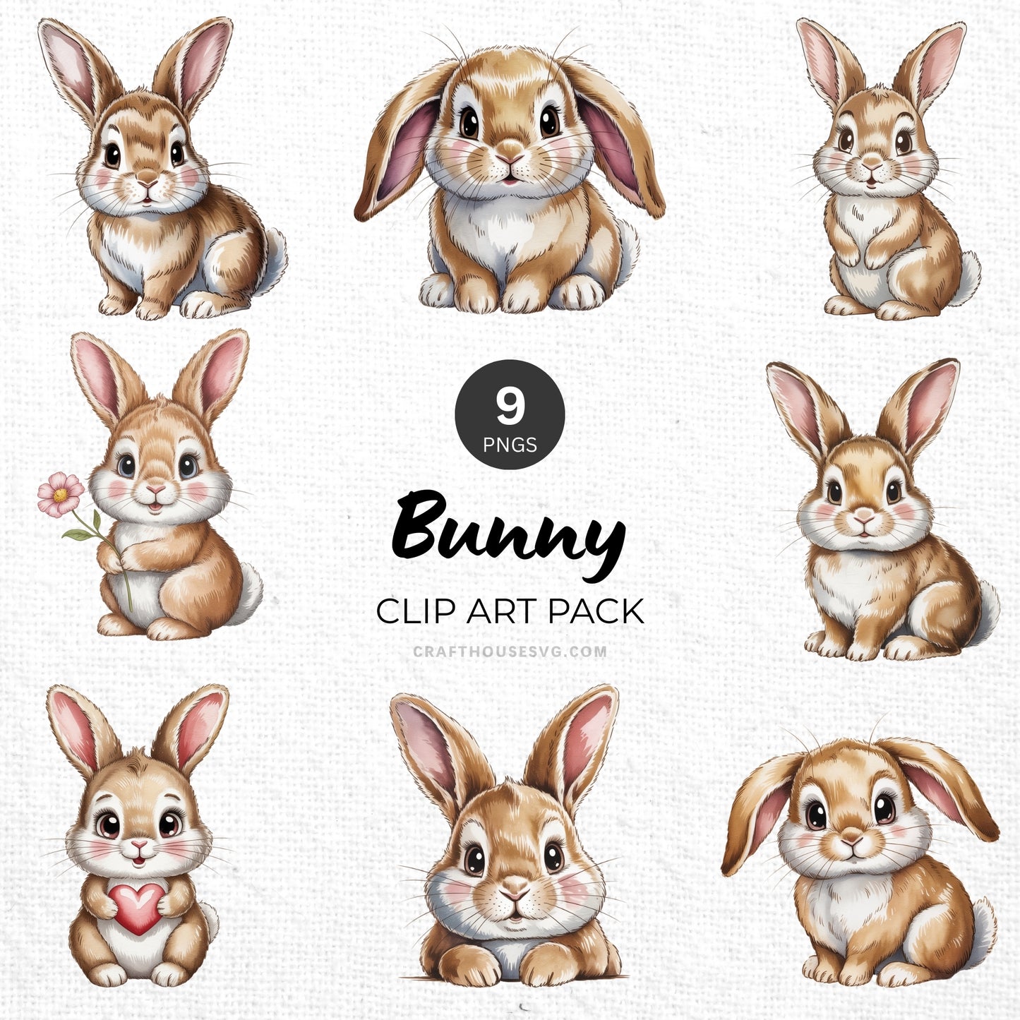 Bunny Clipart Pack Sublimation Bundle PNG