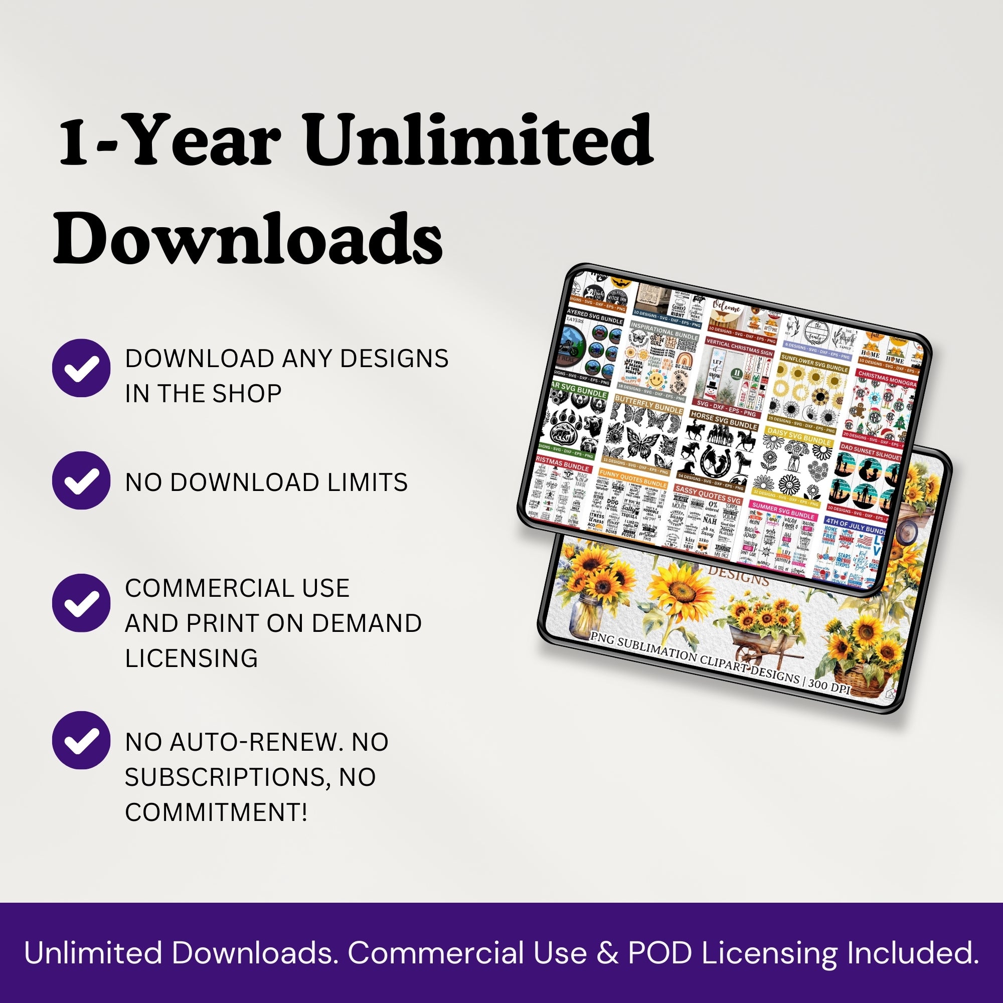 All Access Pass One Year Unlimited Downloads