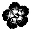 Beach SVG for Cricut, Silhouette, laser cutting, vinyl, sublimation, beach shirts, decals, signs, and DIY craft projects.