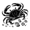 Beach SVG for Cricut, Silhouette, laser cutting, vinyl, sublimation, beach shirts, decals, signs, and DIY craft projects.