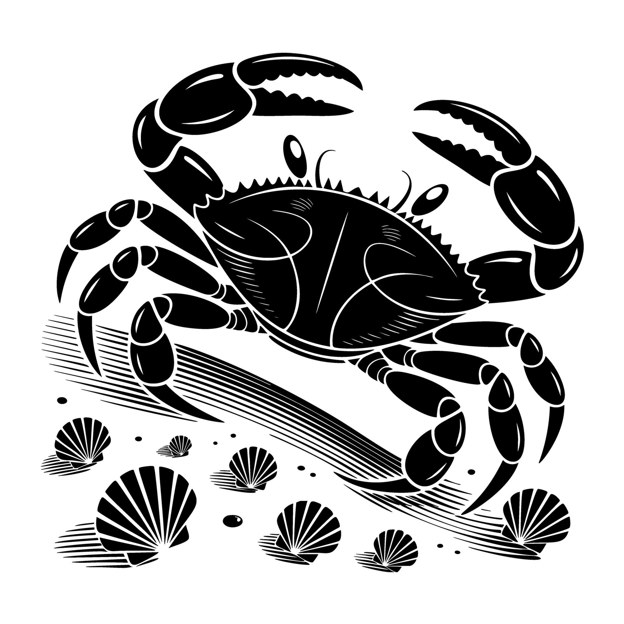 Beach SVG for Cricut, Silhouette, laser cutting, vinyl, sublimation, beach shirts, decals, signs, and DIY craft projects.