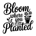 Bloom Where You Are Planted SVG